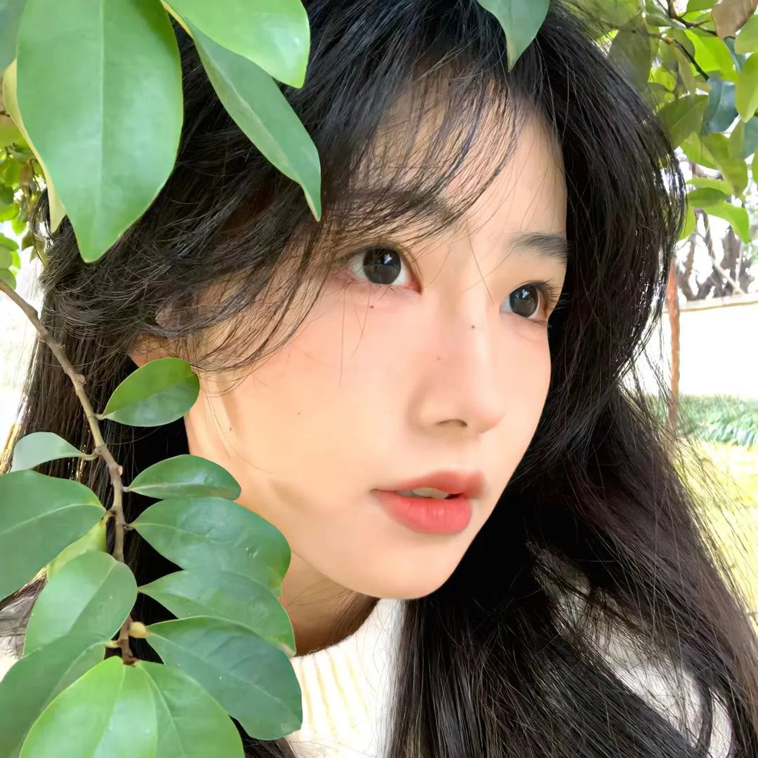 假面明星